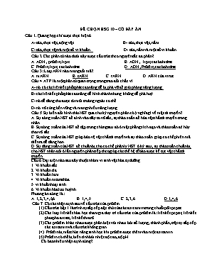 Đề thi chọn học sinh giỏi môn Sinh học Lớp 10 (Có đáp án)
